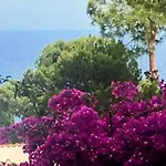 Lets Holidays House In Cala Salions 度假居 *